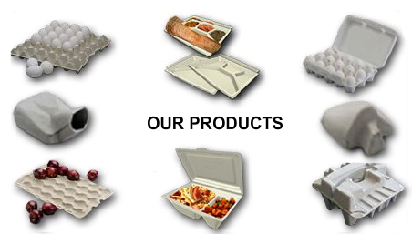 molded pulp products